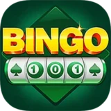 Bingo101 logo